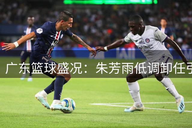 广东篮球盛况：朱芳雨低调卸任引热议 徐杰升任惠州篮协要职